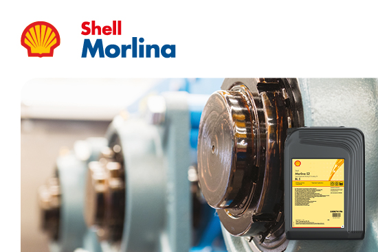 Shell Morlina