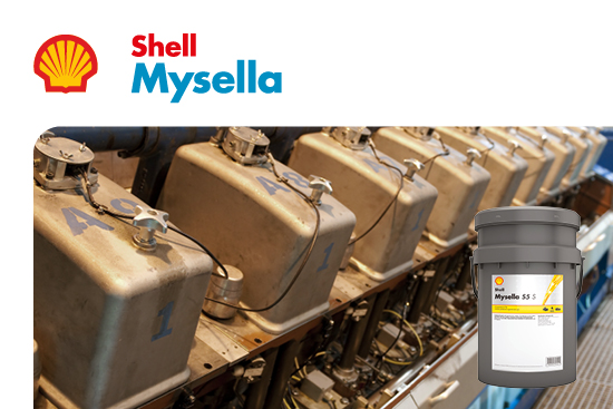Shell Mysella