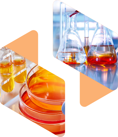 Univar Solutions