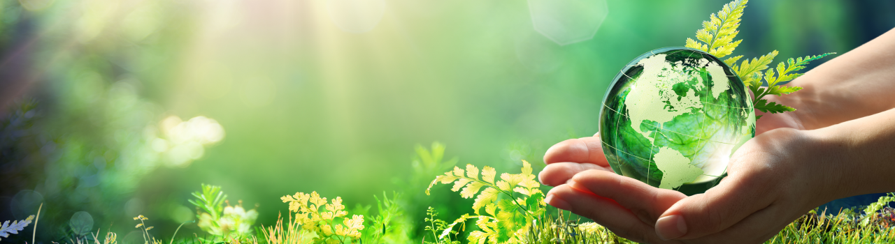 Hands holding glass world globe in a forest